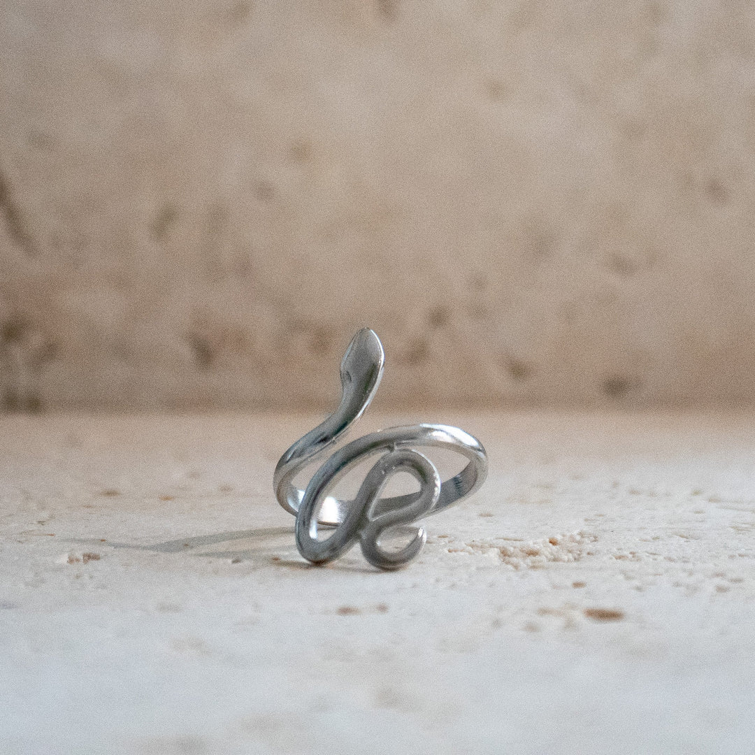 Ring Slang Zilver van RVS