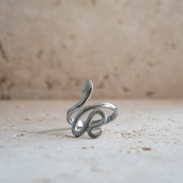 Ring Slang Zilver van RVS